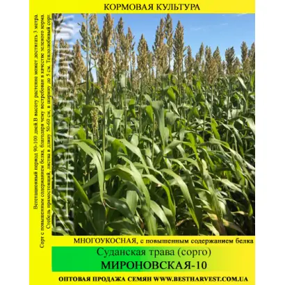 Мироновская 36 / Миронівська 36