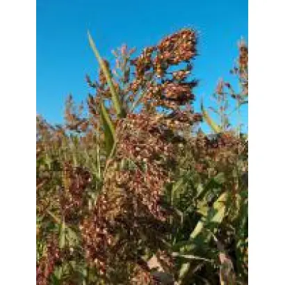 Одесская 221 / Одеська 221