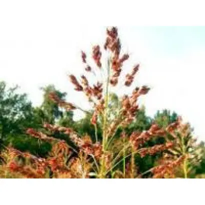 Дніпровська 54