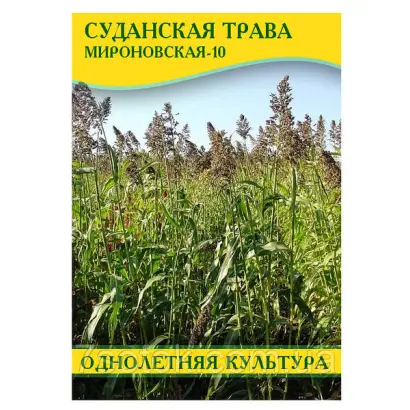 Мироновская 10 / Миронівська 10