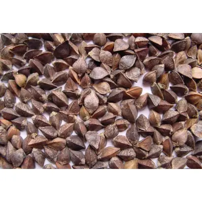 Подільська