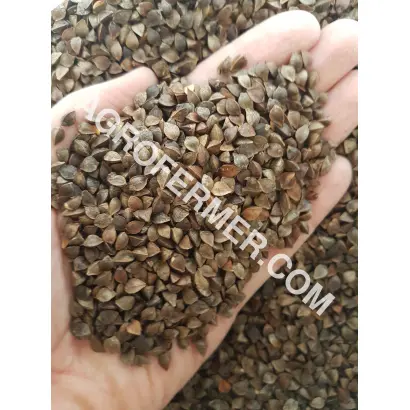 Лилея (Перлына) / Лілея