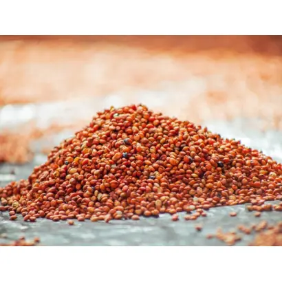 Альтернативне