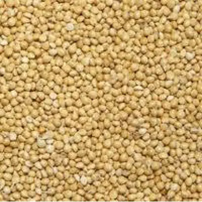 Денвікське