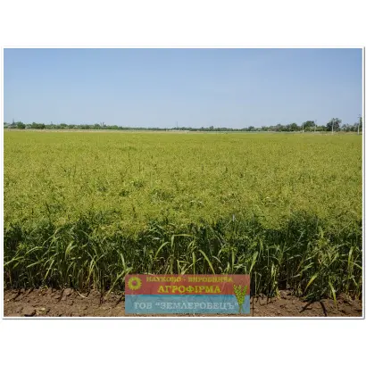 Таврійське