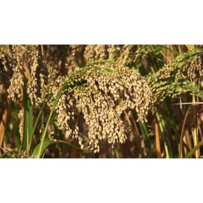 Харьковское 57 / Харківське 57