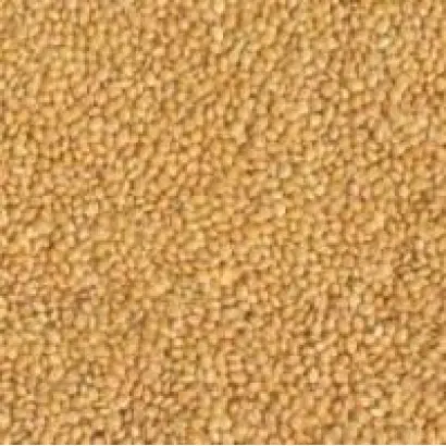 Харьковское 86 / Харківське 86