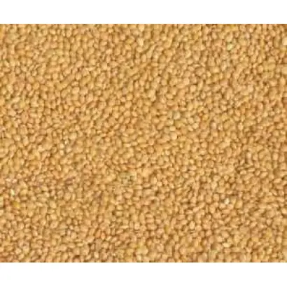 Харьковское кормовое / Харківське кормове