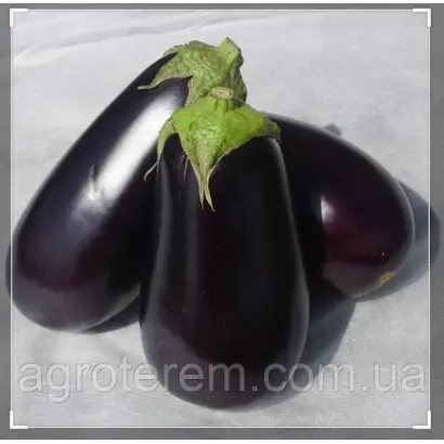 Jocker / Джокер