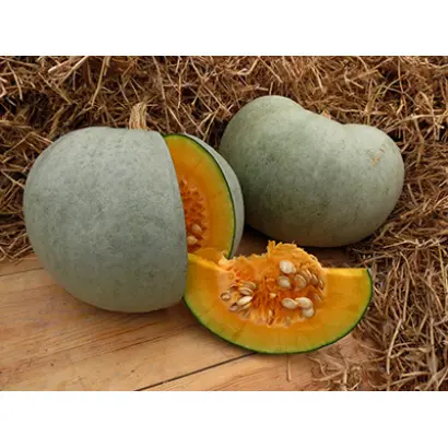 Польовичка