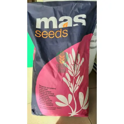 GALAXIE MAX / ГАЛАКСІ МАКС