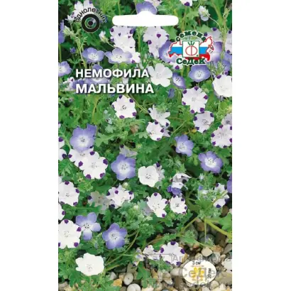 MALVINA / МАЛЬВІНА