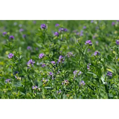 Херсонская 7 / Херсонська 7