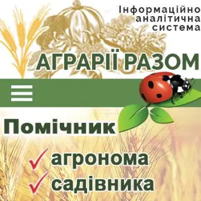 Rea Bellina / Реа Белліна