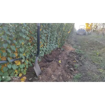 Eline 1 / Еліне 1