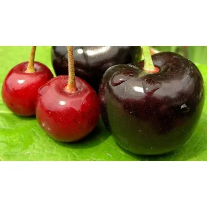 Взгляд / Взгляди