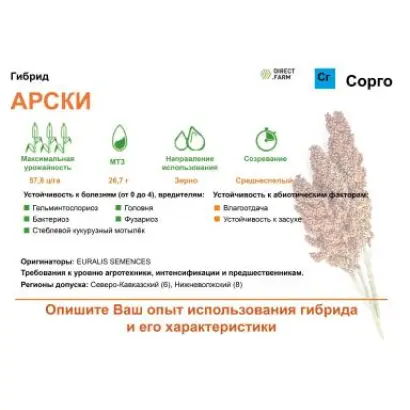 ARSKY / АРСКІ