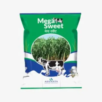 Mega Sweet / Мега Світ