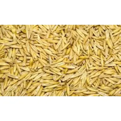 Черниговский 27 / Чернігівський 27