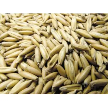 Черниговский 28 / Чернігівський 28