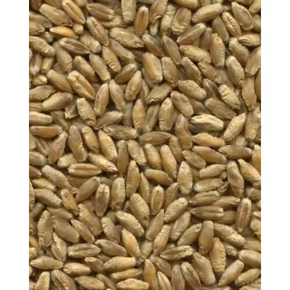 Воля харківська