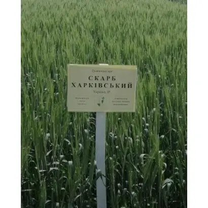 Скарб харківський