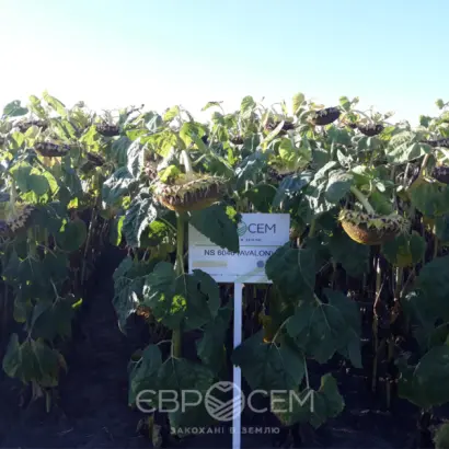 Харків АВІАС