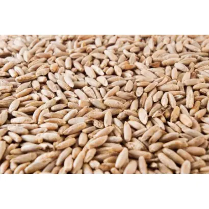 Кормовая 51 / Кормове 51