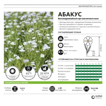 Abacus / Абакус