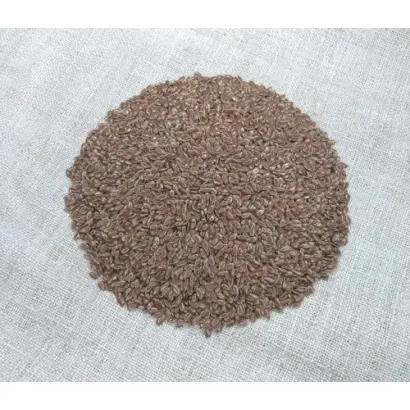 Північна Зірка