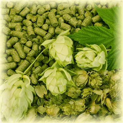 Northern Brewer Bel / Норден Бревер Бел