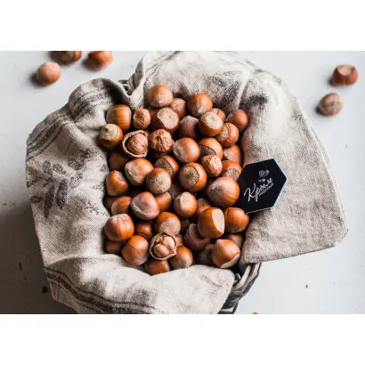 Березокорий