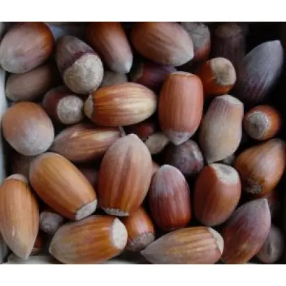 Боровской / Боровський