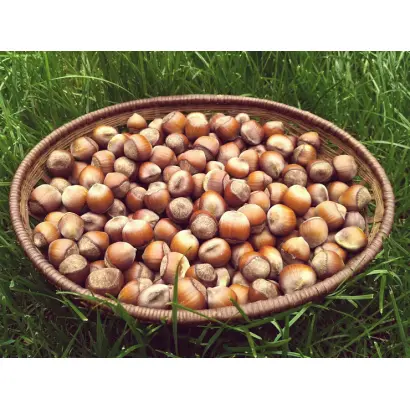 Пирожок / Пірожок