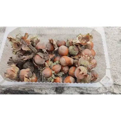 Хустська Бомба