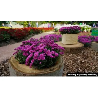 Осінній Блюз