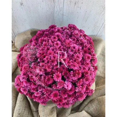 Чудовий Арлекін