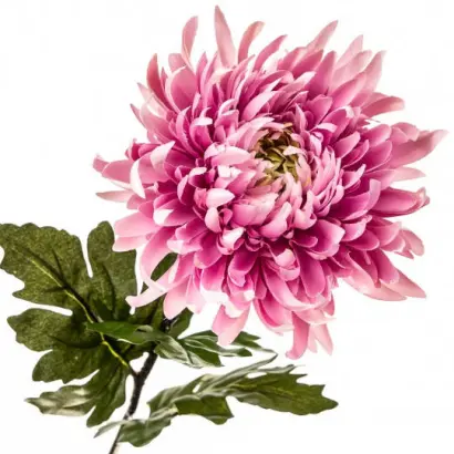 Рожева діадема