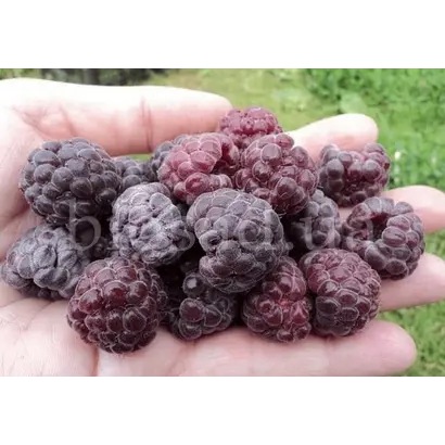 Glen Coe / Глен Коу