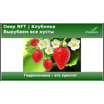 DrisStrawFifty / ДрісСтроуФіфті