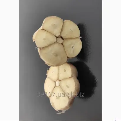 Любава Таврійська