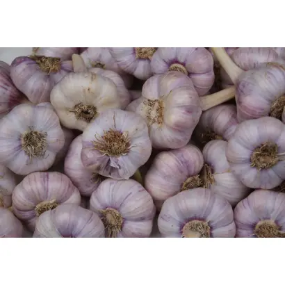 Super Lyubasha / Супер Любаша