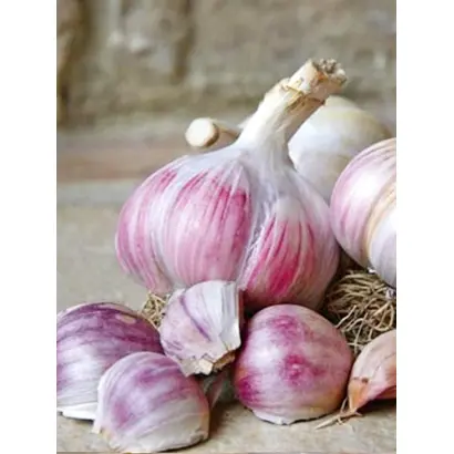 Софиевский / Софіївський