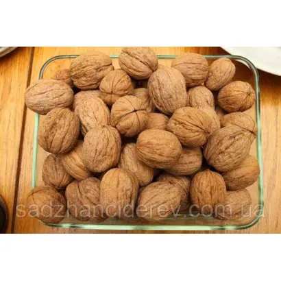 Подільський