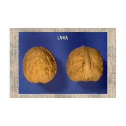 Pieral / Пьєраль