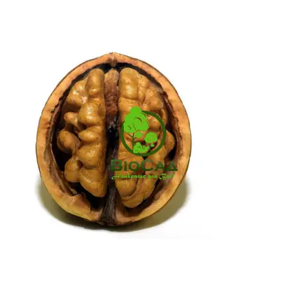 Рудковский / Рудківський