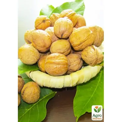 Слава Україні