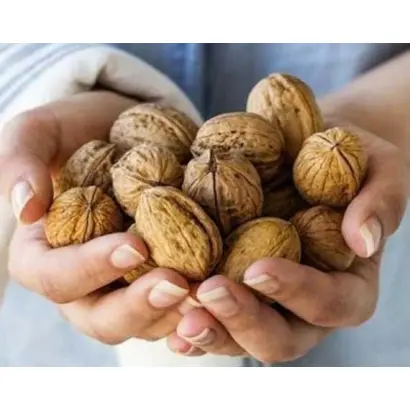 Яривский / Ярівський