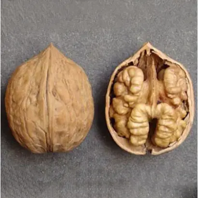 Кишиневский