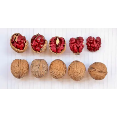 Красавец / Красавець